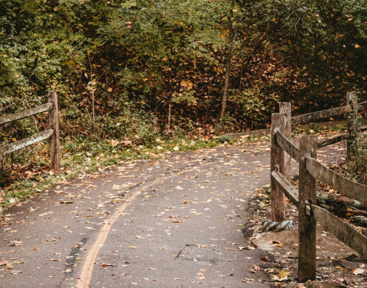 Learning to Wait Well: Trusting God When Everything Feels Delayed